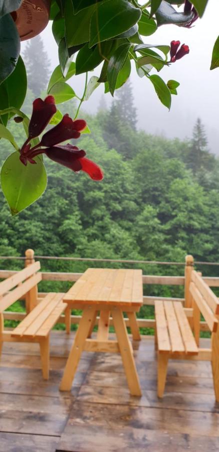 Serinyer Dag Evi Ayder Yaylasi Esterno foto