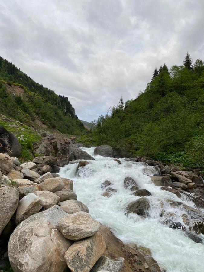 Serinyer Dag Evi Ayder Yaylasi Esterno foto