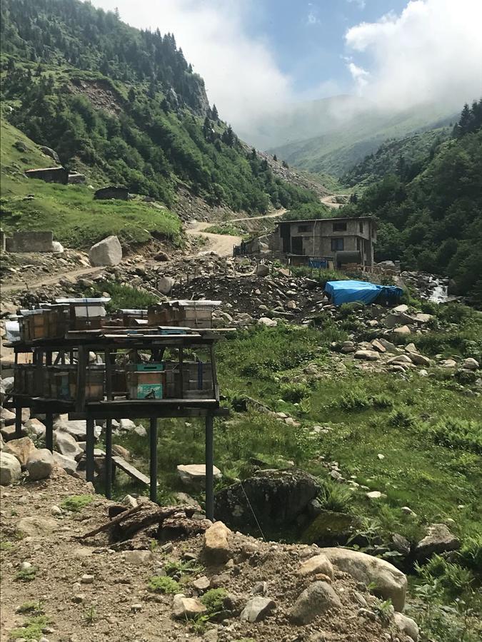 Serinyer Dag Evi Ayder Yaylasi Esterno foto